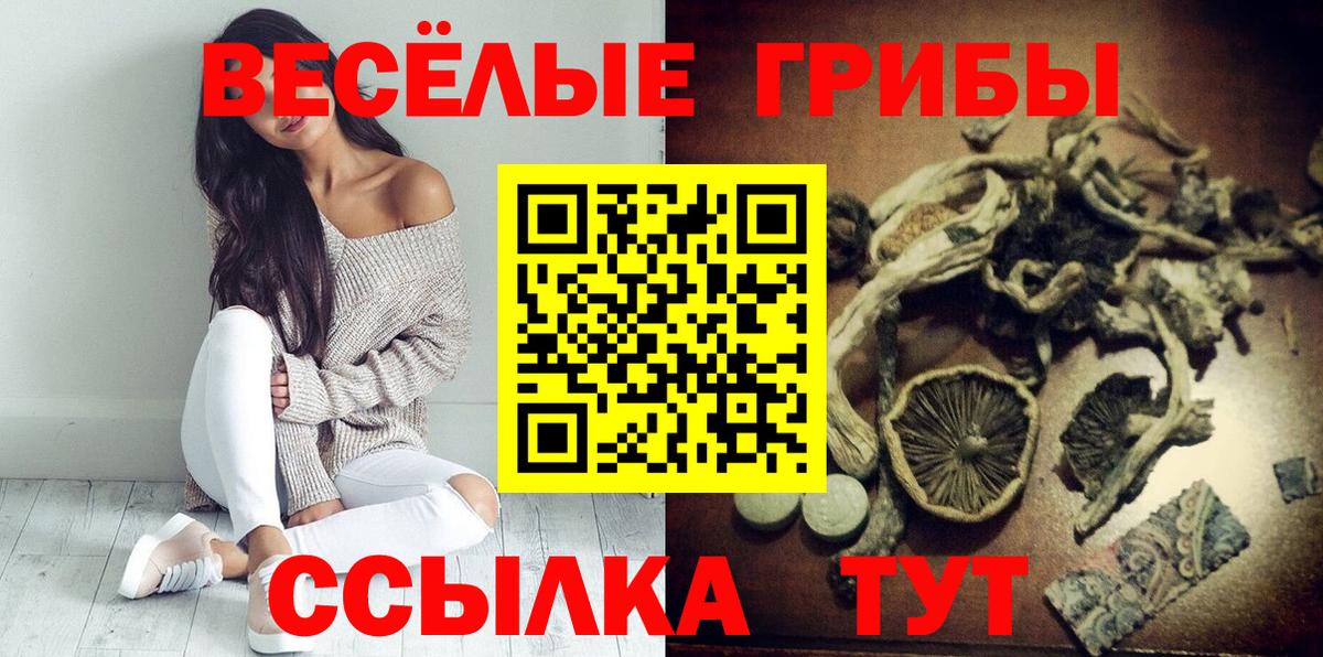 Владимир  Псилоцибиновые грибы прущие грибы  Вход с VPN 