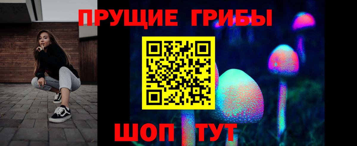 Псилоцибиновые грибы GOLDEN TEACHER Владимир